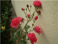 fb442b78-Picture 540.jpg